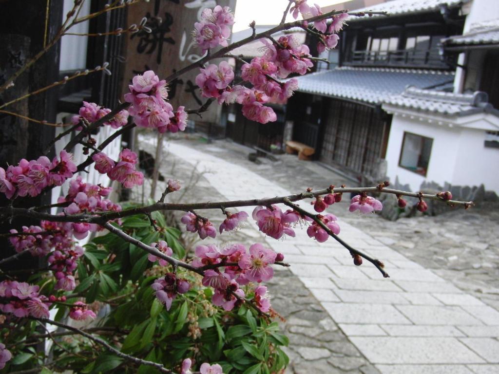Tajimaya Nakatsugawa Bagian luar foto